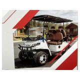 2026 NEW 60V Electric Off-Road Golf Cart - White