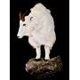 Friday Night Auction - Taxidermy, Antique Furniture, Sterling Silver, Artwork, Brand New Household