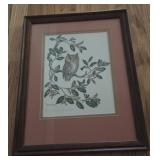 Framed Owl Print Anne W Richardson