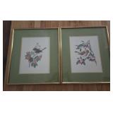 Framed Bird Prints Anne W Richardson
