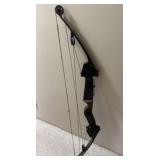 Compound Bow