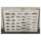 South Carolina Freshwater Fish Poster