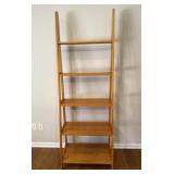 Ladder Bookshelf