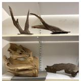 Driftwood Collection