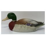 Mallard Duck by Andrea