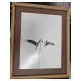 Framed Photograph " Skimmer "