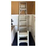 Aluminum and Plastic Ladders