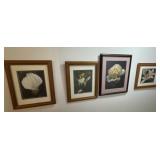Framed Floral Artwork