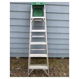 Werner 6 ft Ladder