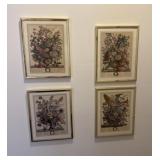 "Twelve Months of Flowers" by Robert Furber