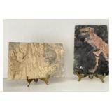 Hand Crafted Fossil Impressions