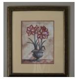 Framed Amaryllis Print