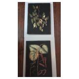 Decorative Cloth Botanical Artwork