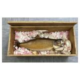 Mounted Brown Trout - Taxidermy