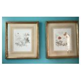 Flora and Fauna Prints