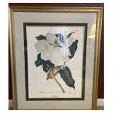 Framed Magnolia Blossom Primt