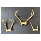 Antlers