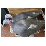 Turkey Decoys