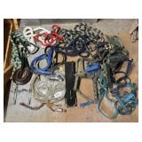 Horse Lead Ropes, Halters, and Tie Chains