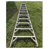 Werner Ten Foot  Metal Ladder