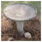 Cement Bird Bath