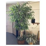 Artificial Ficus Tree