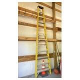 Werner 12ft Ladder