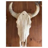 Animal Skull
