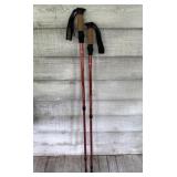 Moutainsmith Walking Sticks