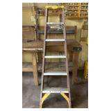 Werner Six Foot Ladder