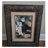 Butterfly Photograph, Signed