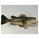 Mounted Fish