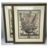 Two Botanical Prints, December and August