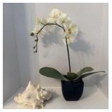 Faux Orchid and Conch Shell