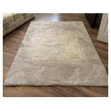 Shag Rug