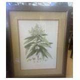 Botanical Print