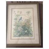 Vintage Print Indigo Bunting