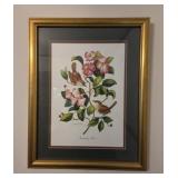 Framed Signed Carolina Wren By Cherie Nate