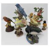 Bird Collection