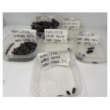 Collection of Fossilized Pieces