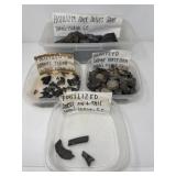 Fossilized Shark Back Bones, Teeth, Vertebrae