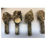 20mm Shells from South Carolina Coast