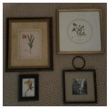 Framed Nature Art