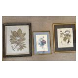 Botanical Art