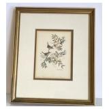 Richardson, Anne W ï¿½Wrens and Jasmine' Print