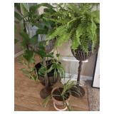 Assortment of Metal Plant Stands and Plants