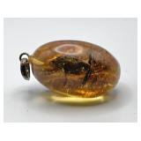 Amber Pendant with Encased Frog