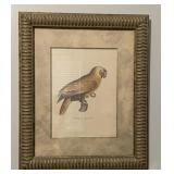 Parrot Print by Jacques Barrand