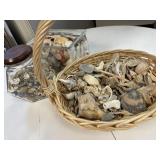 Containers of Shells