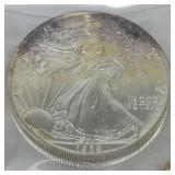 1989 Silver American Eagle Dollar